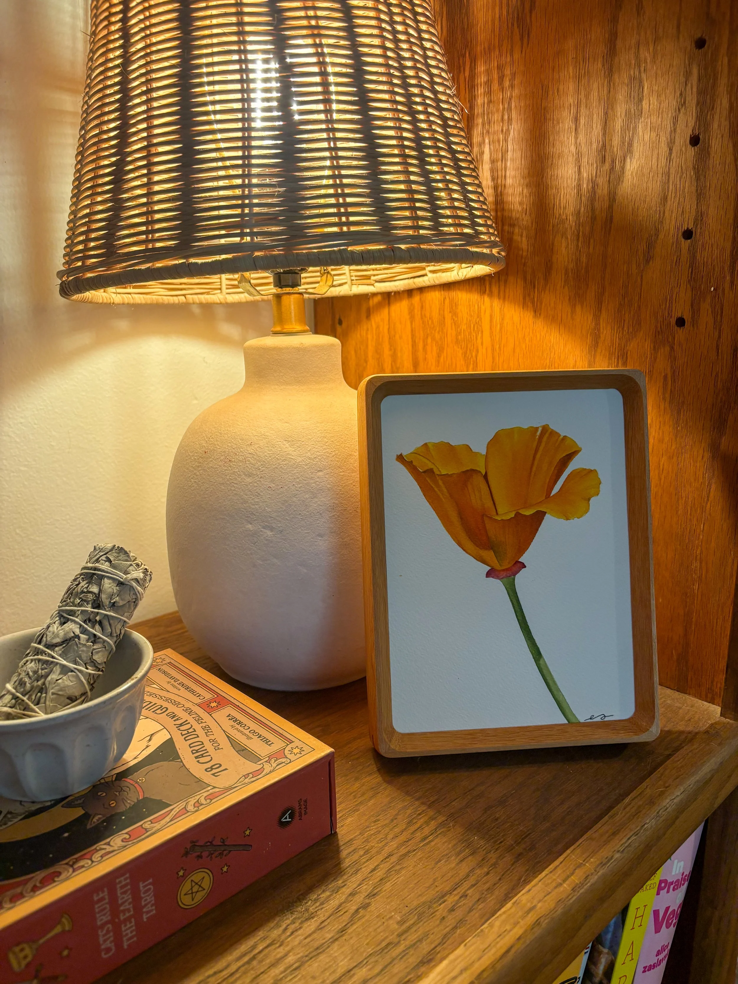 Original small framed watercolor painting of a single California poppy in tangerine orange on a white background, in a warm wood frame