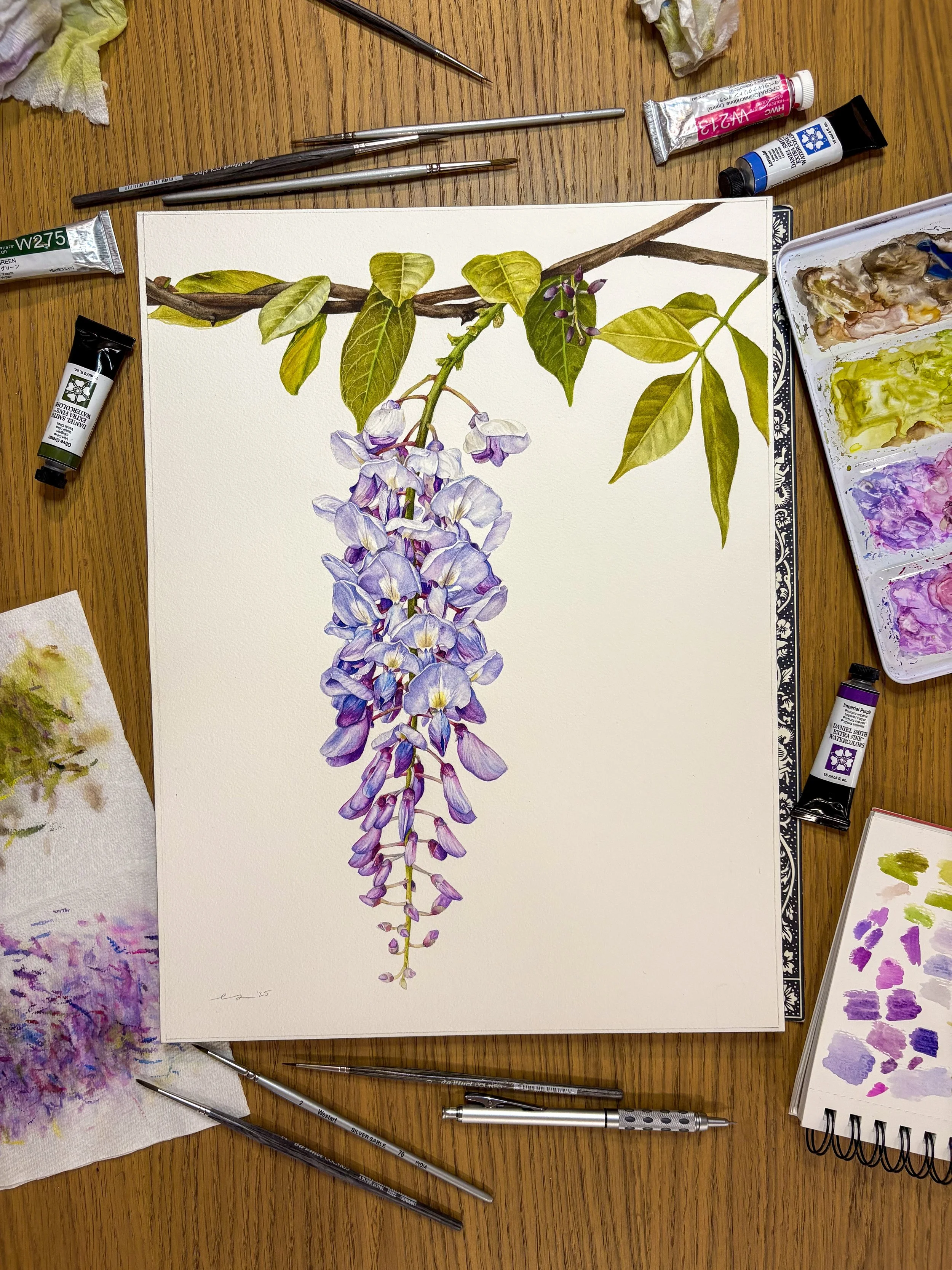 Original framed watercolor painting of a cascading wisteria bloom in periwinkle and lavender, hanging from a twisted branch with green leaves, warm wood frame