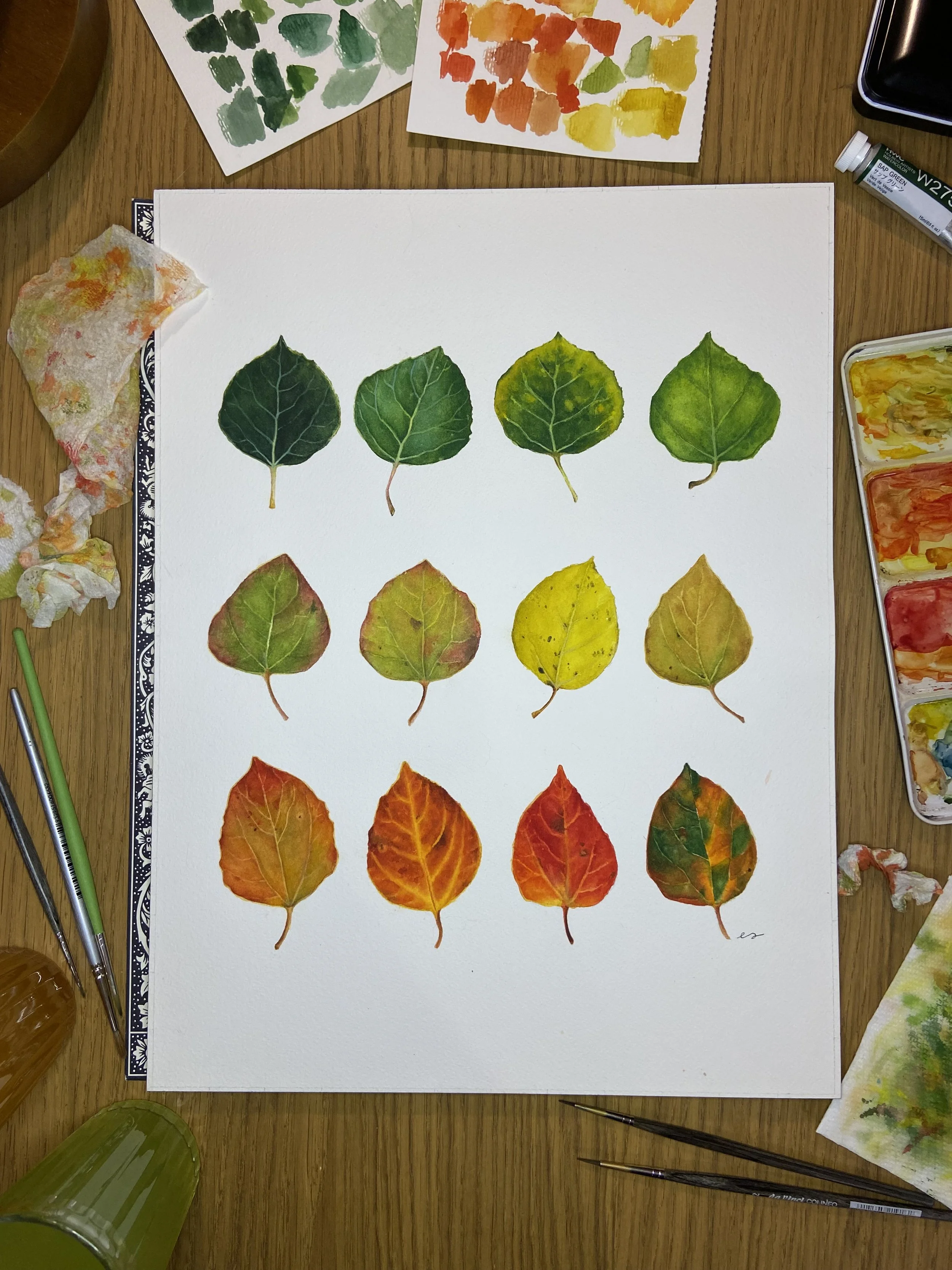 Aspen Leaf Seasons_Art by Emma Lian.jpg