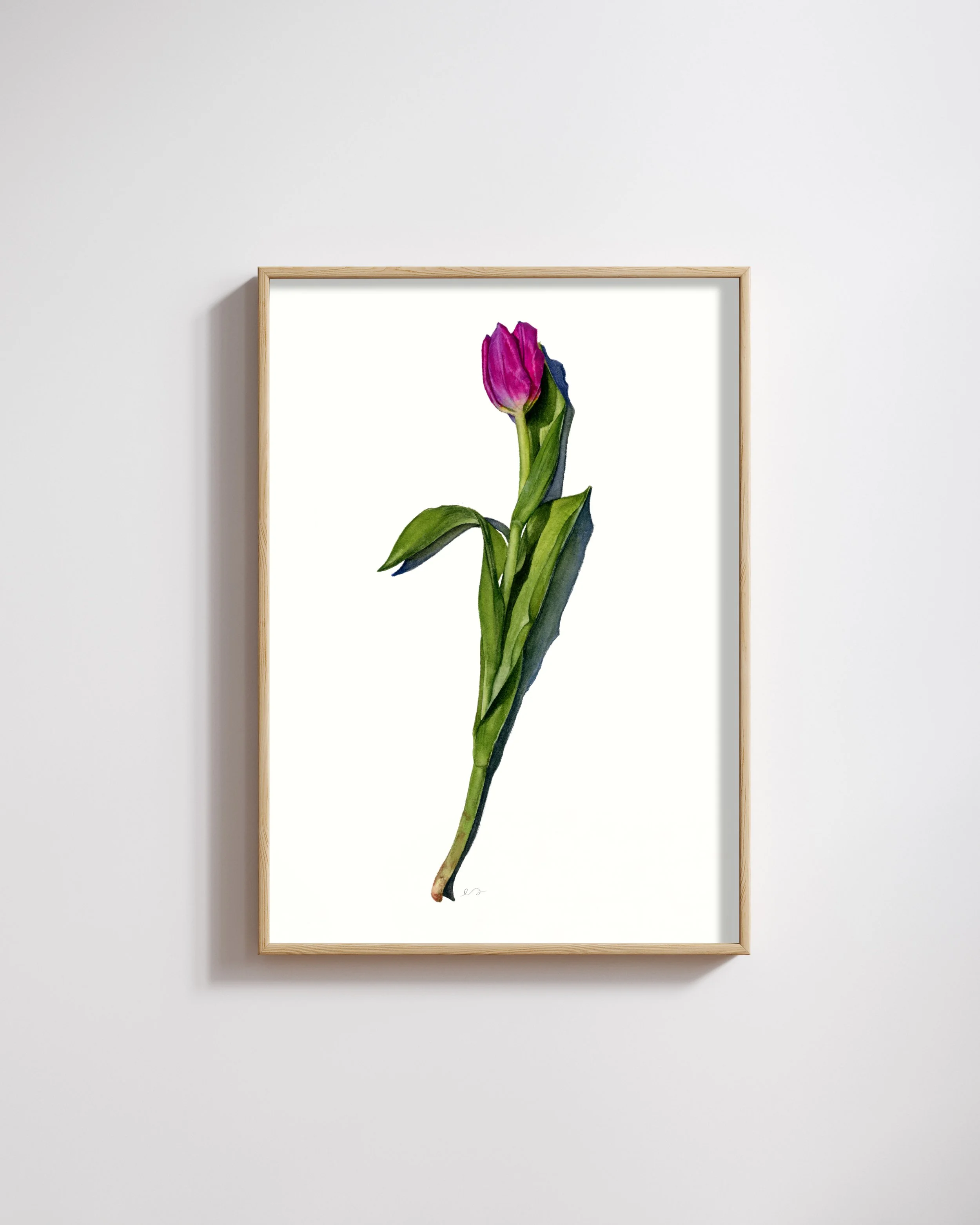 Mockup2.jpg