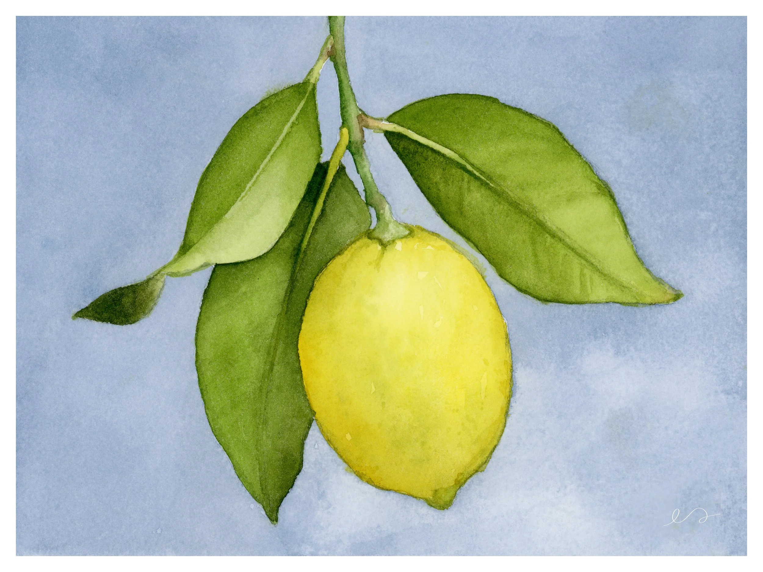 Lil' Lemon