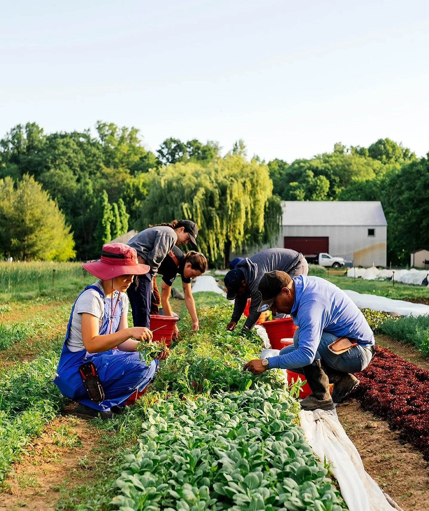 🙌 A perfect place to discuss, and stock, The Bartender&rsquo;s Pantry. @emmajanzen will be at @granorfarm in Three Oaks, MI on Friday 11/15 4:00-6:00pm for &lsquo;Farm Friday,&rsquo; meeting and greeting and signing copies of the book. There will al