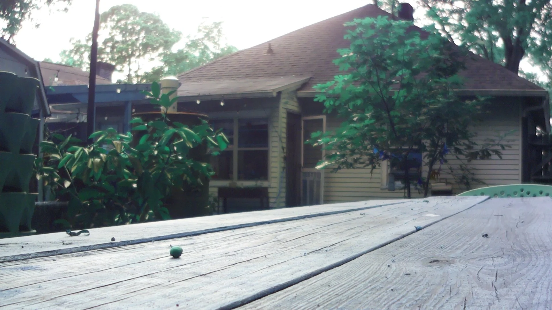 I Built an Off-Grid Timelapse Camera to Watch Light Move Through a Garden