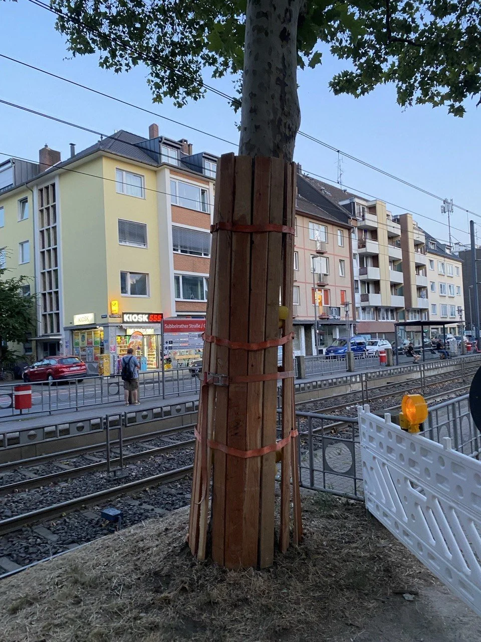 Ein Baum, der an einer Straßenbahnstation im städtischen Gebiet geschützt wird, mit Holzlatten und roten Befestigungsbändern um den Stamm angebracht.