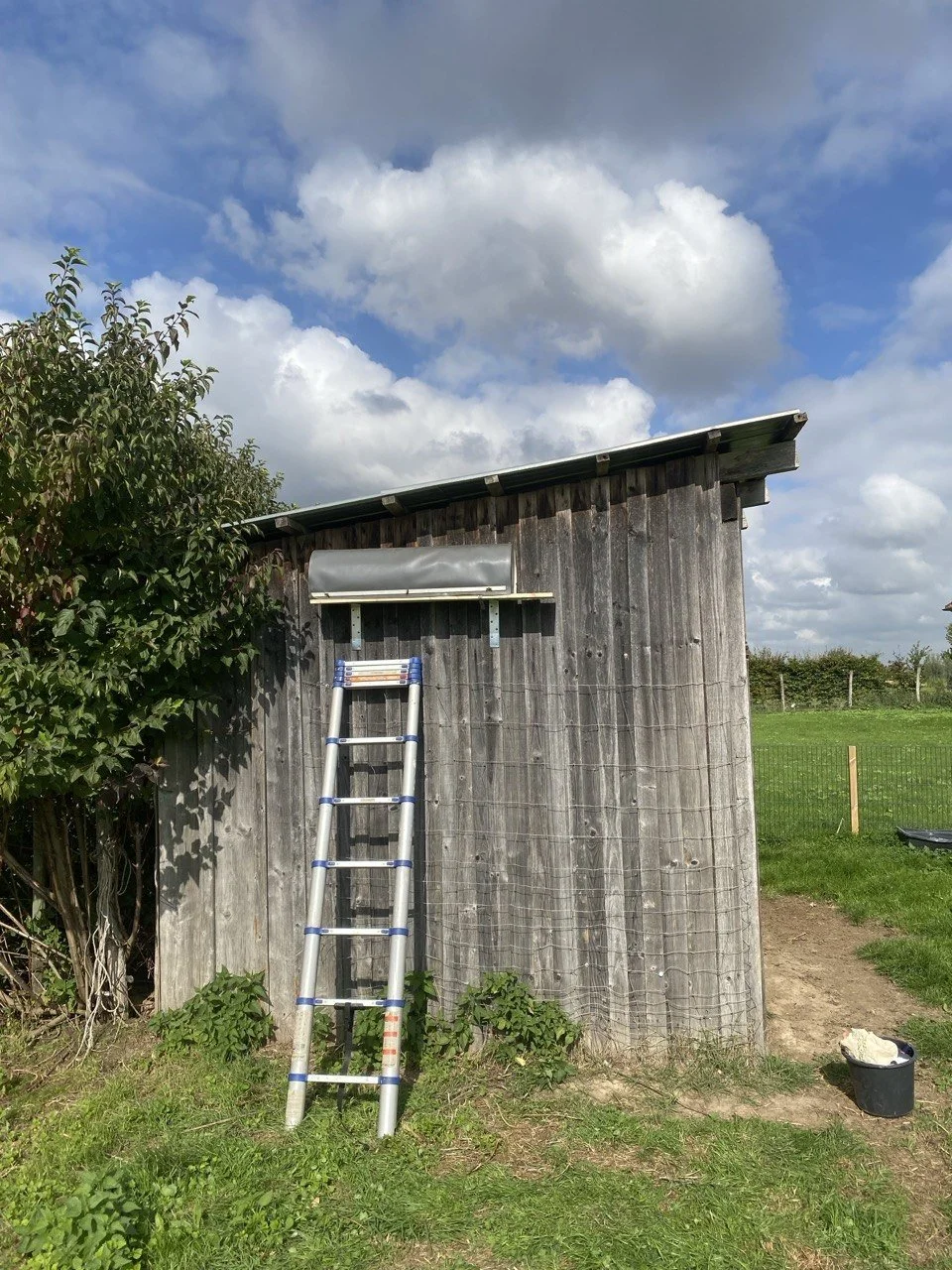 Ein Holzschuppen im Garten mit Leiter davor, unter einem Dachschwellen, im Hintergrund grünes Feld und Himmel mit Wolken.