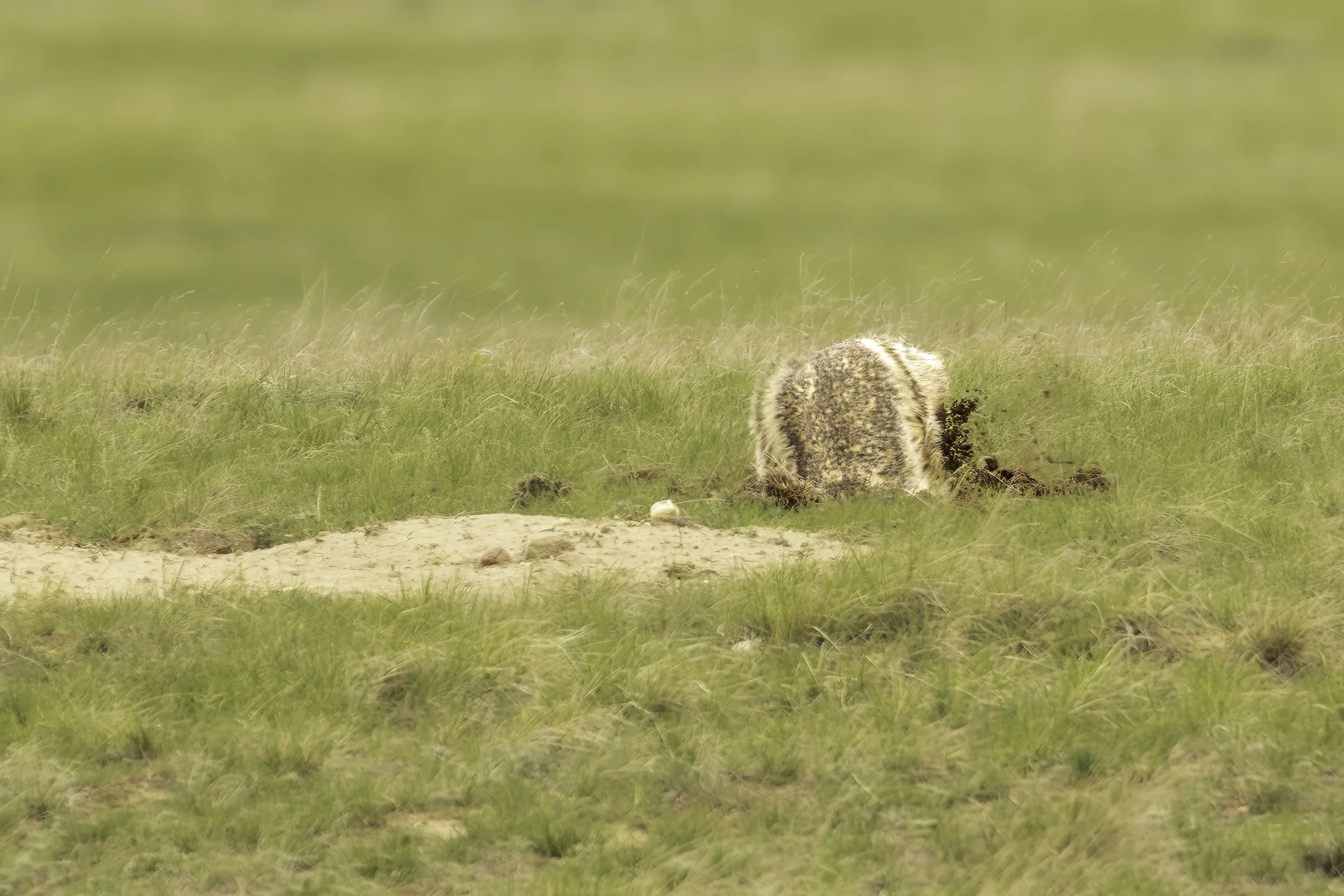 Dragomir Vujnovic-2022-1489.jpg