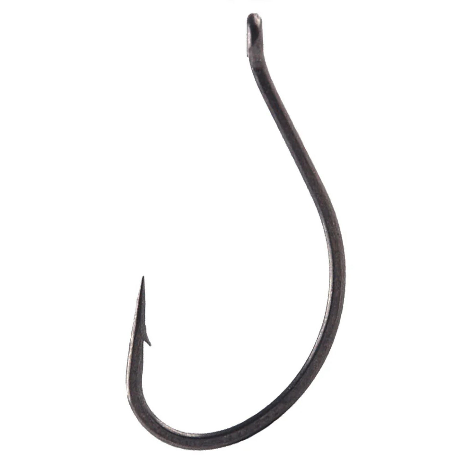 BKK DSS WORM
