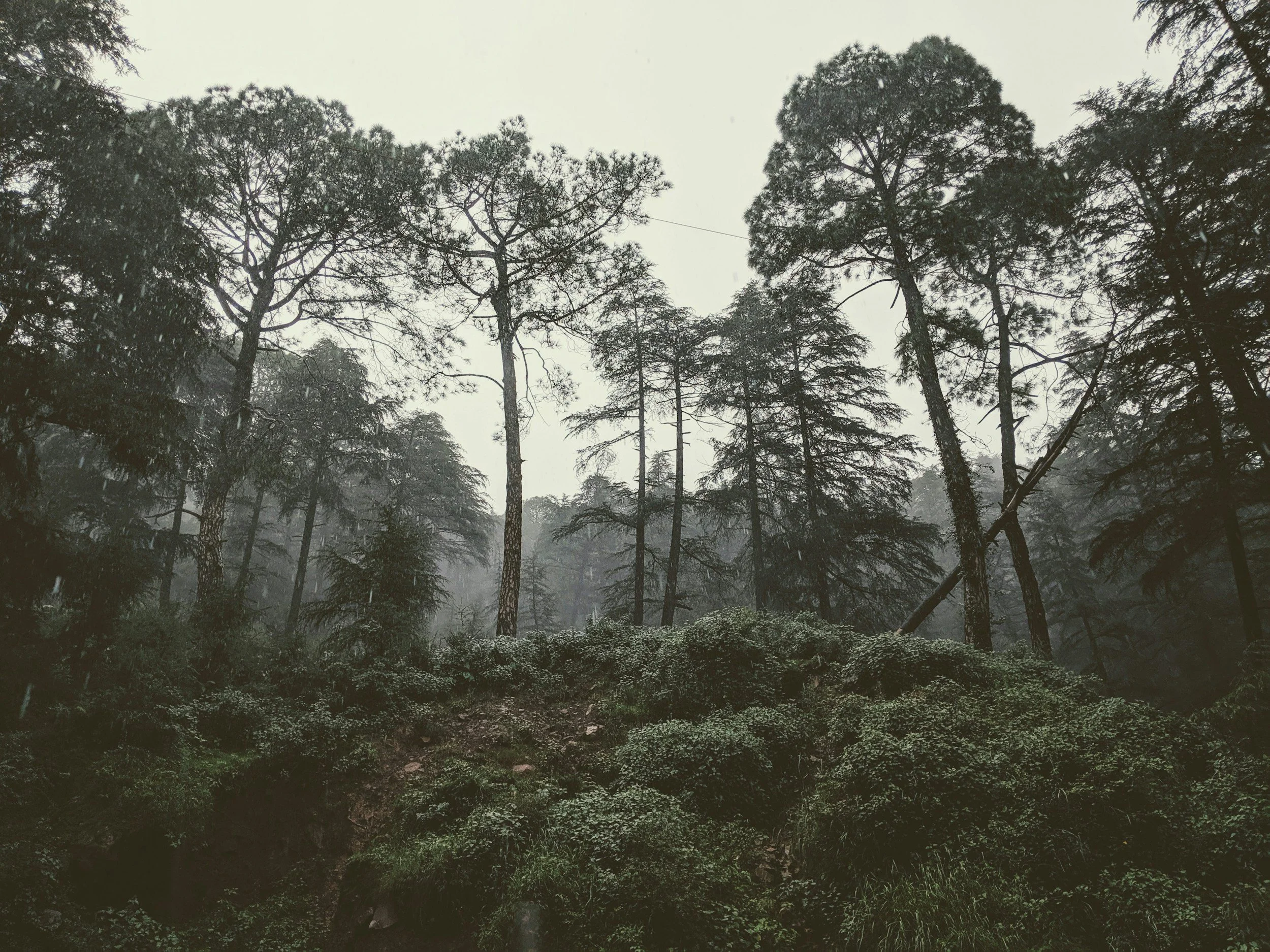 This piece of land