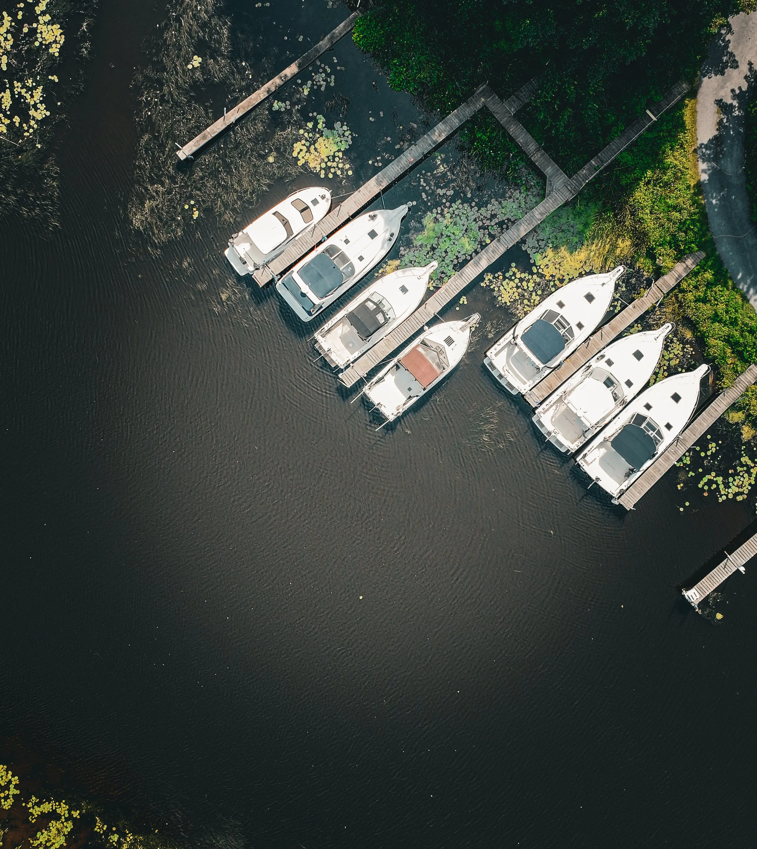 DJI_20240816145725_0164_D-2.jpg