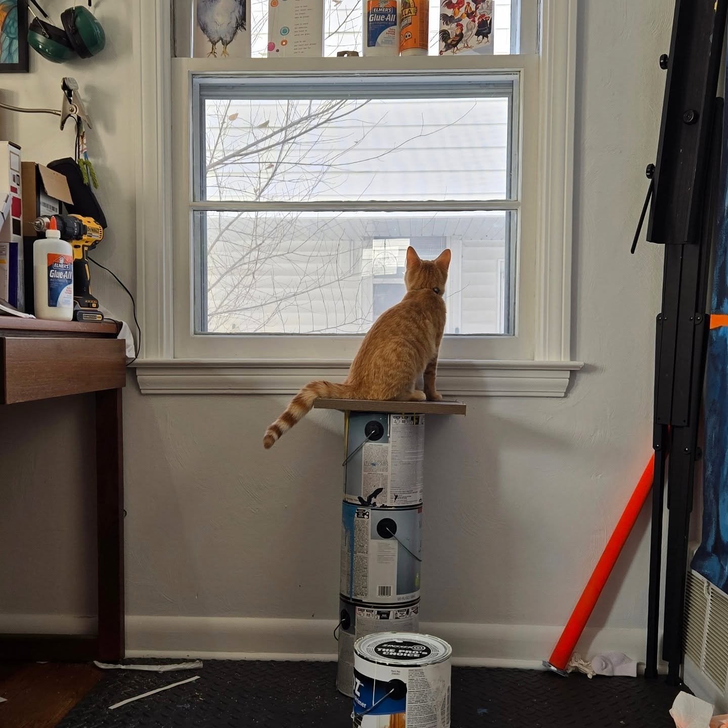 Not the most helpful studio assistant, but he keeps morale high!