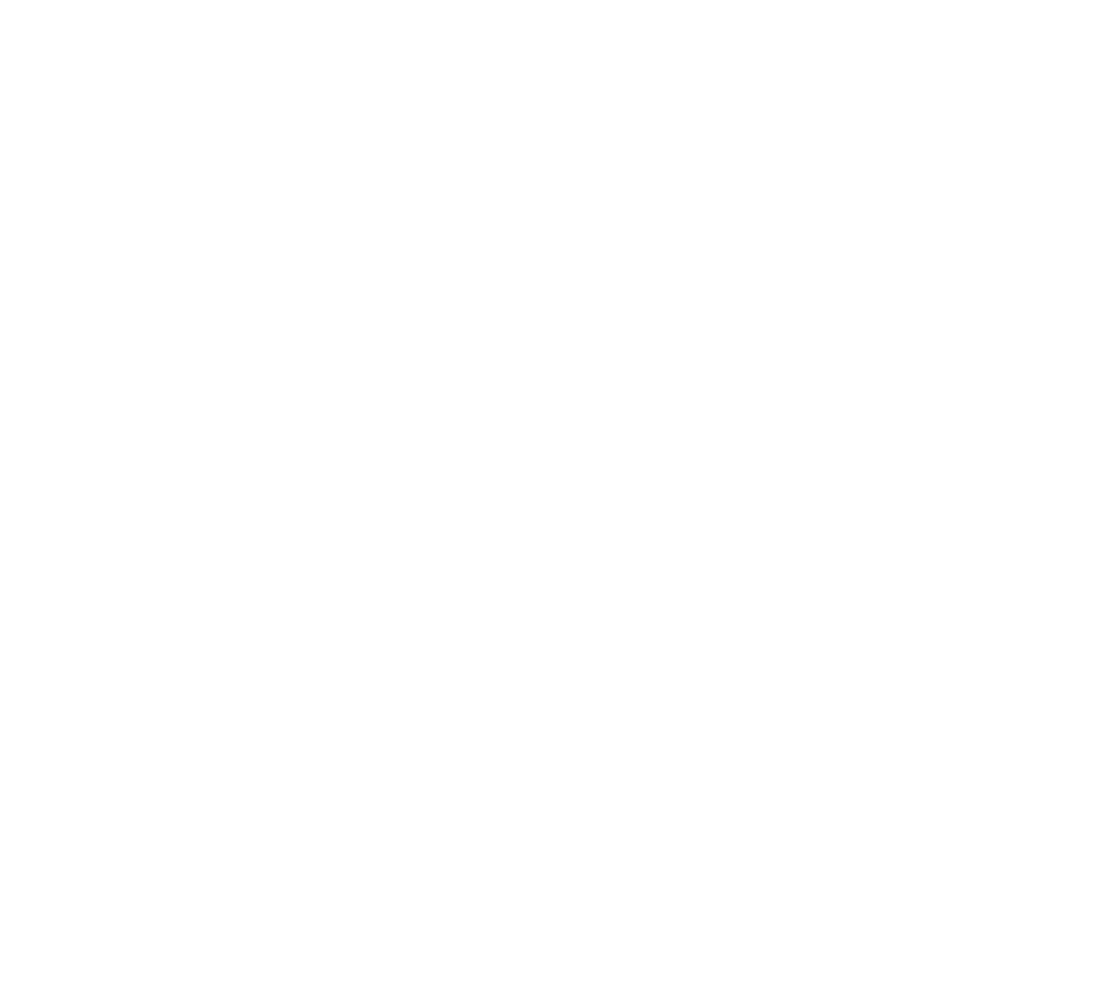 Our Team — Foley IP Law