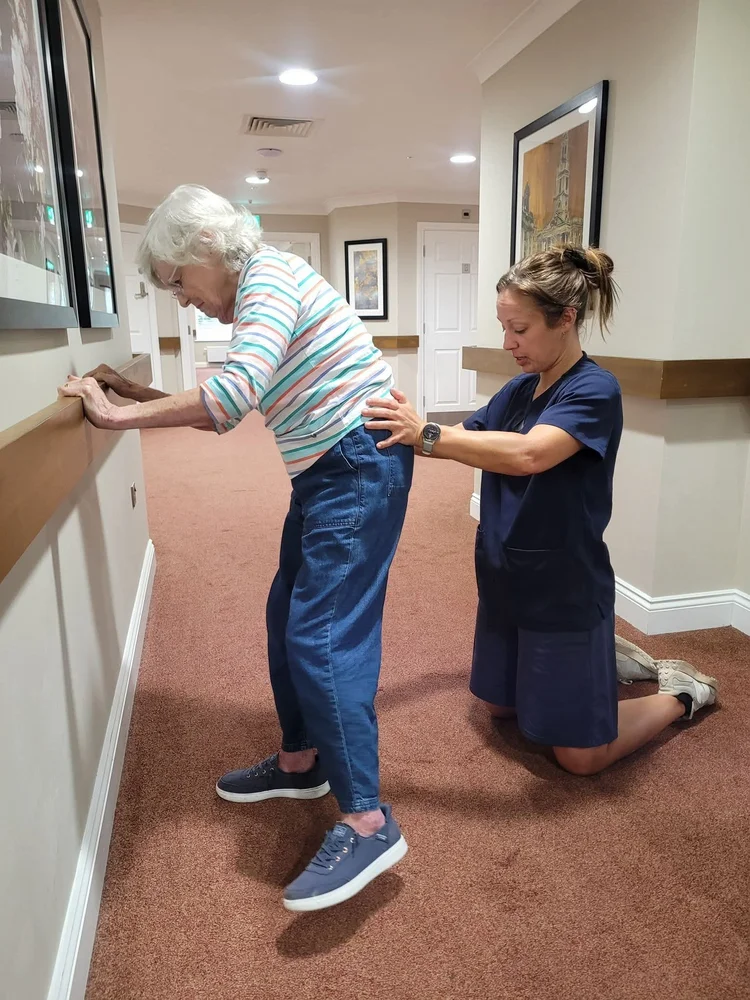 Physiotherapist working with older adult at home