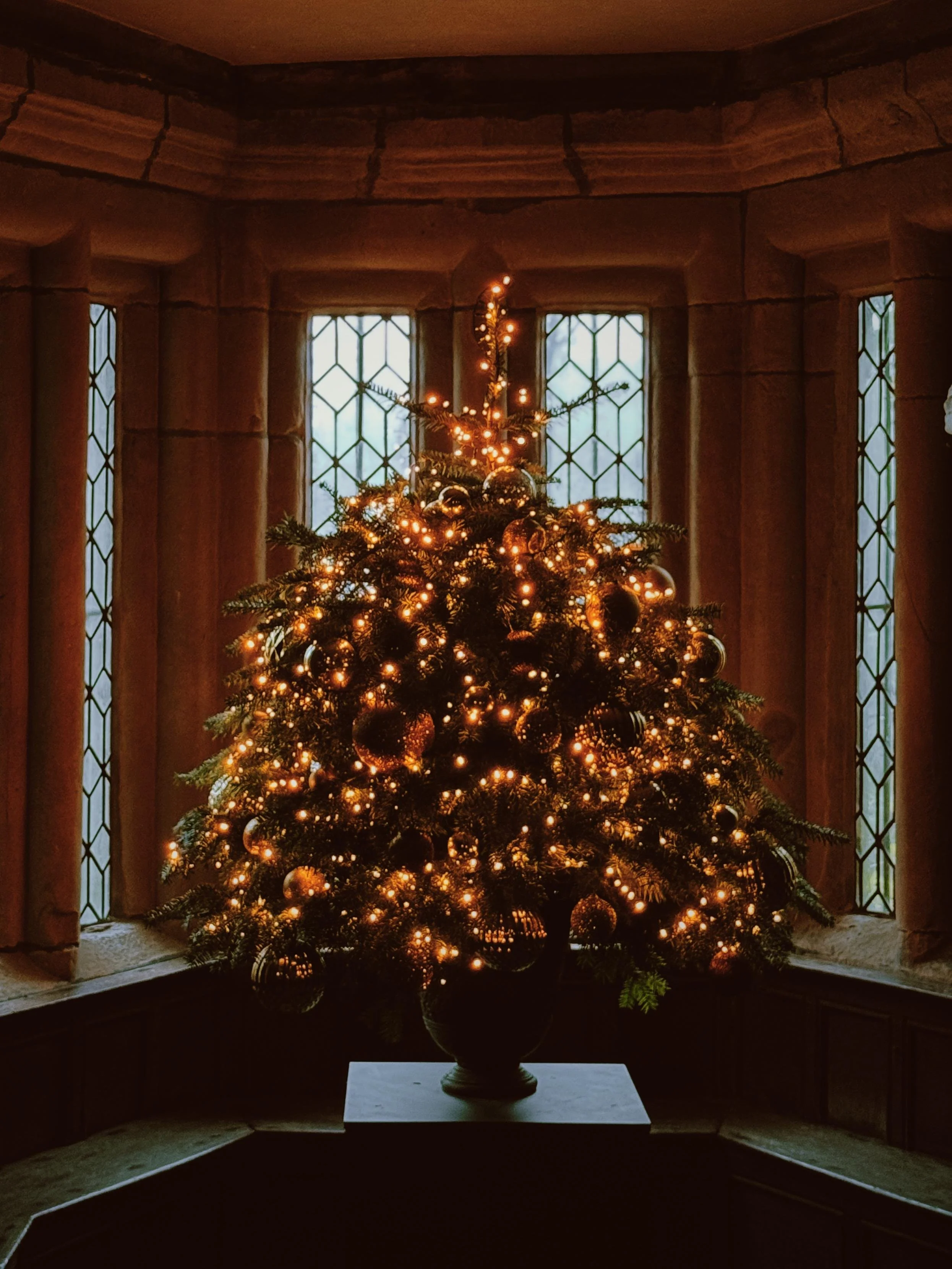Haddon Hall Mercatum 25.jpg