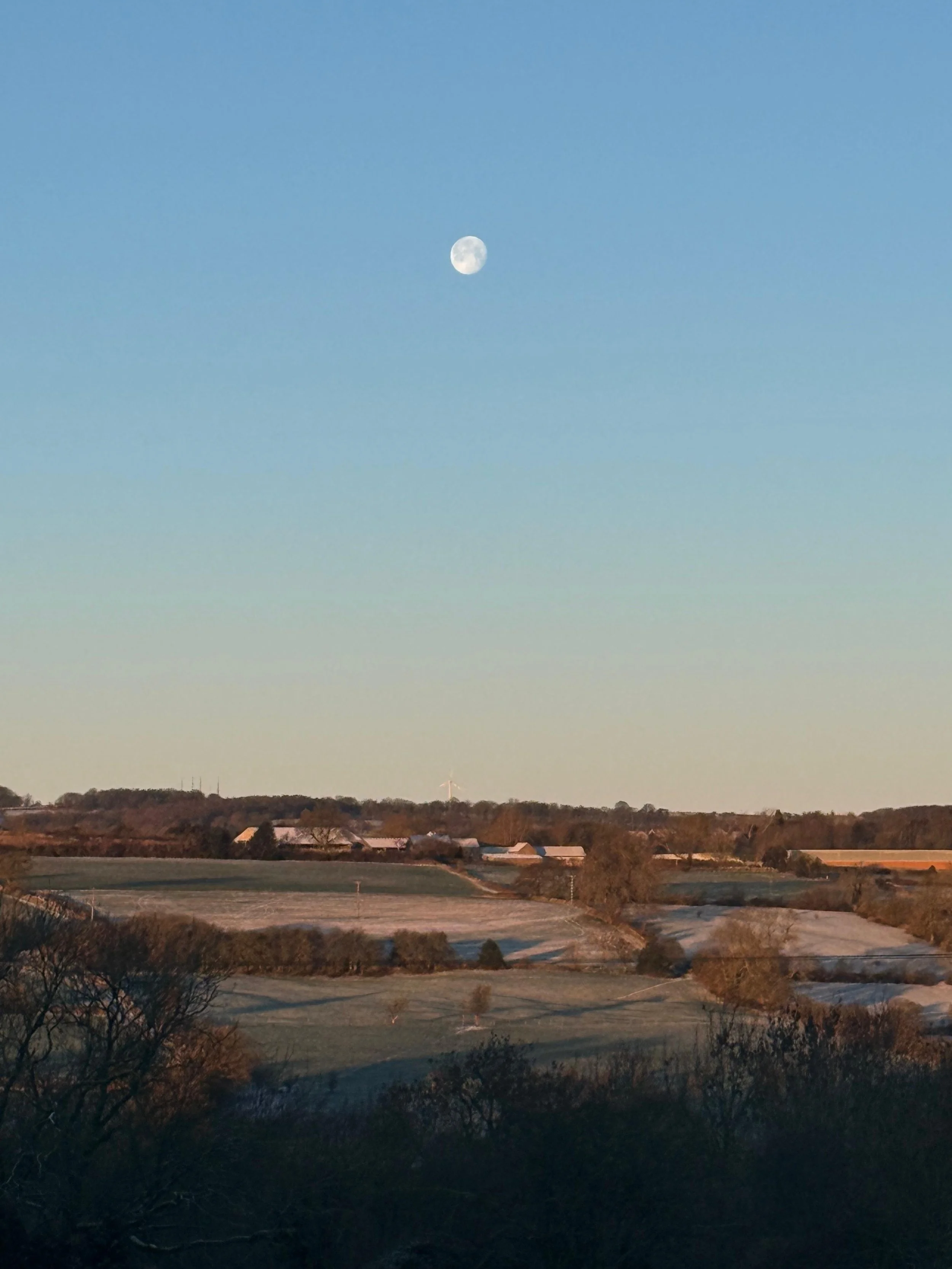 Editor’s Letter: January 2026