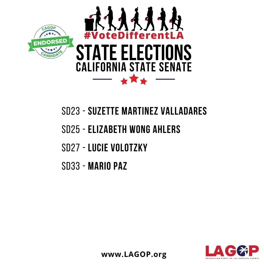 LAGOP Voter Guide for the 2024 General Election -&gt; CA State Senate Candidates in LA County 
#VoteDifferentLA
