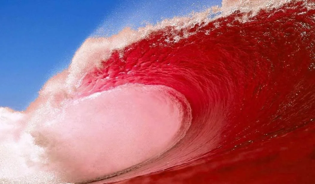 Red State - Inside the Machine: Want a Red Wave in California? Start Facing the Brutal Math