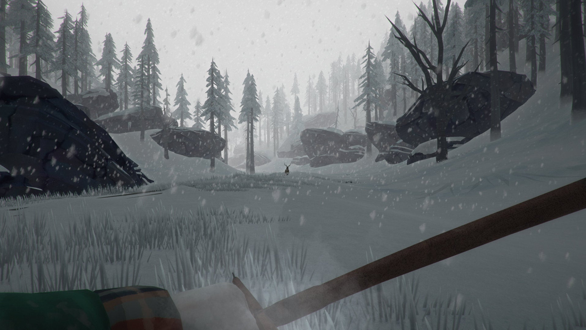 Immersive Survival Experience