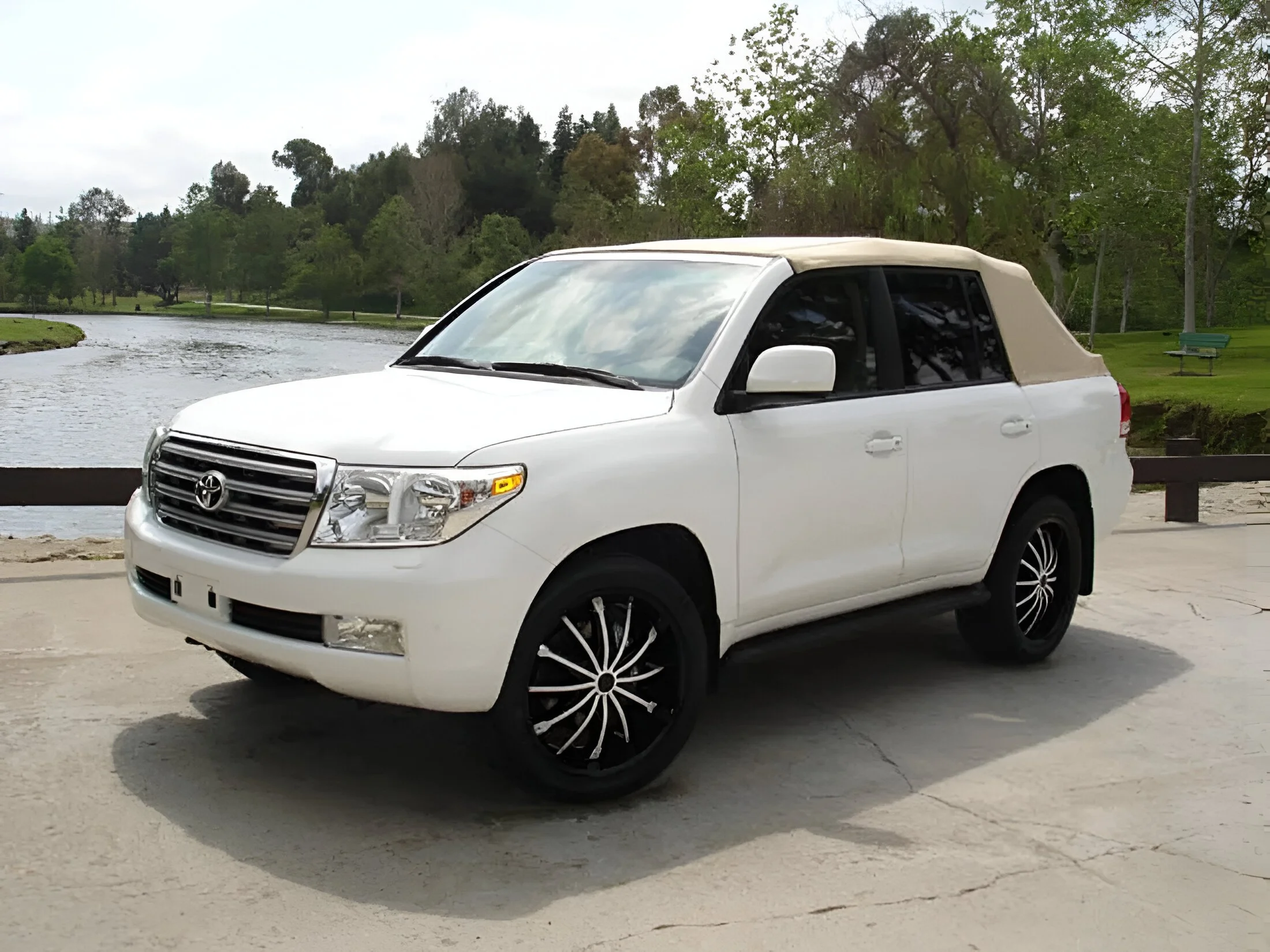 Toy-LC-Wh-td11-1100.jpg