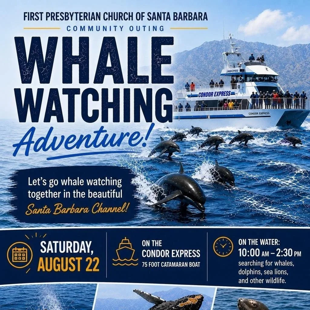 Whale Watching Outing