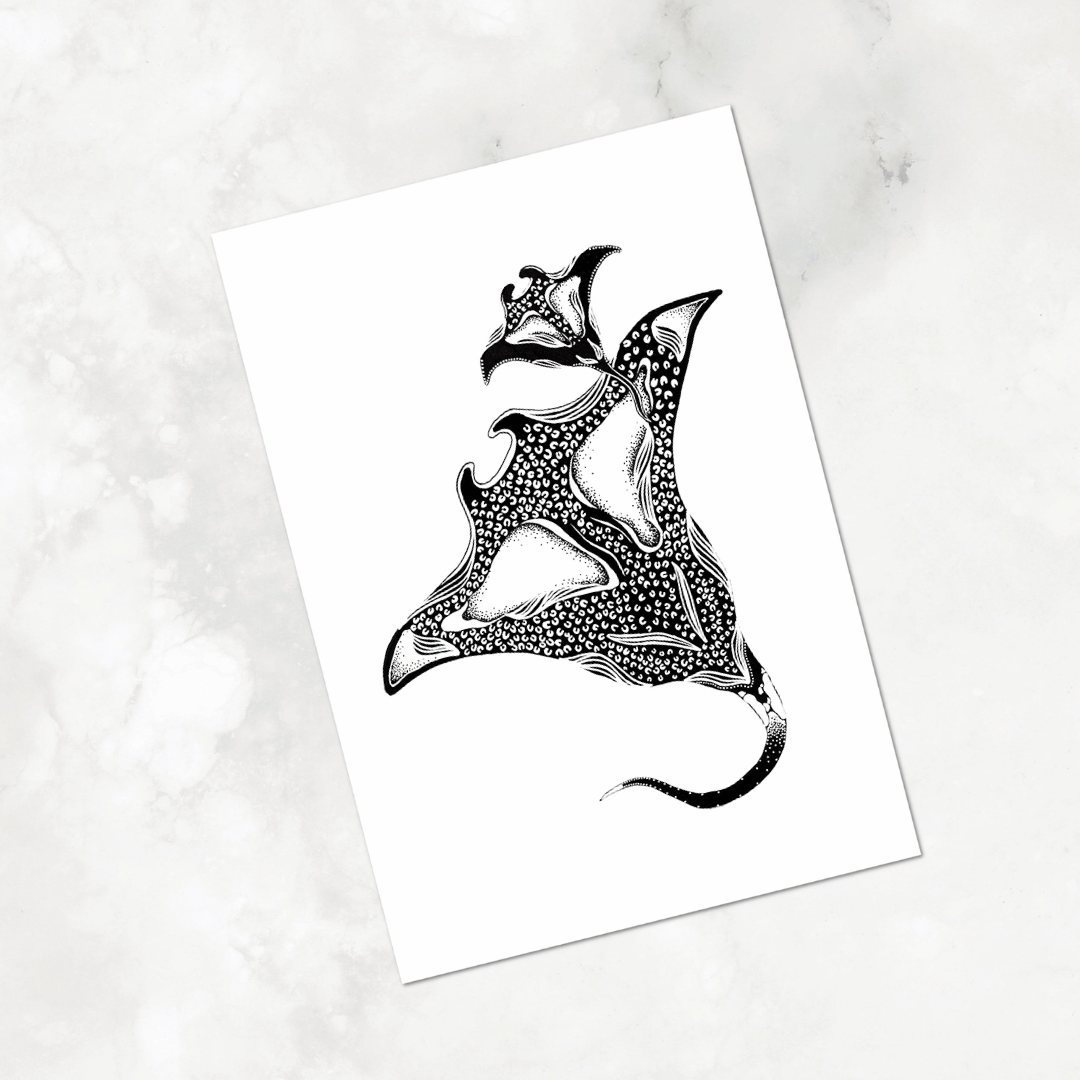 White Minimalist Paper manta ray n pup.png