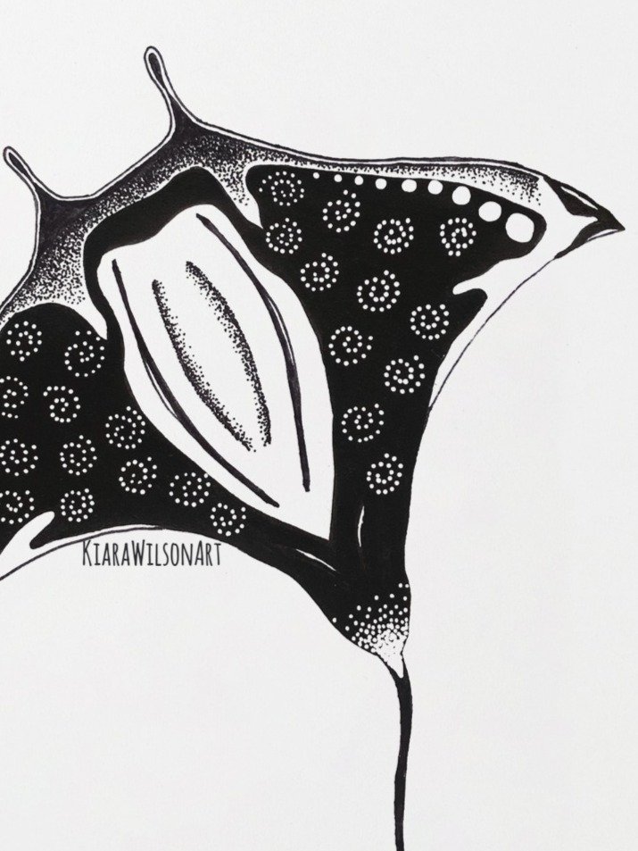 Manta Ray Frame Texture_edited_edited.jpg
