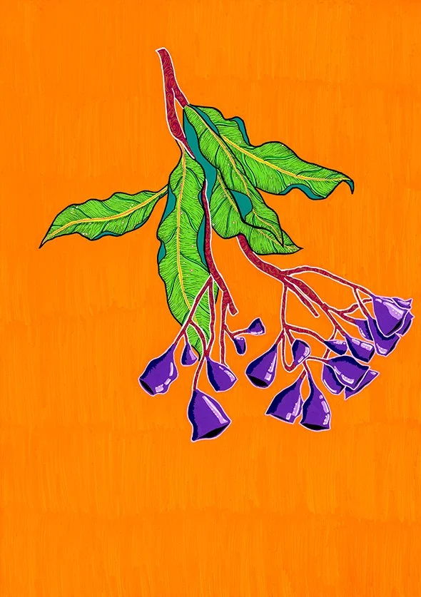 Illustration of a sprig of purple flowers with green leaves against an orange background.