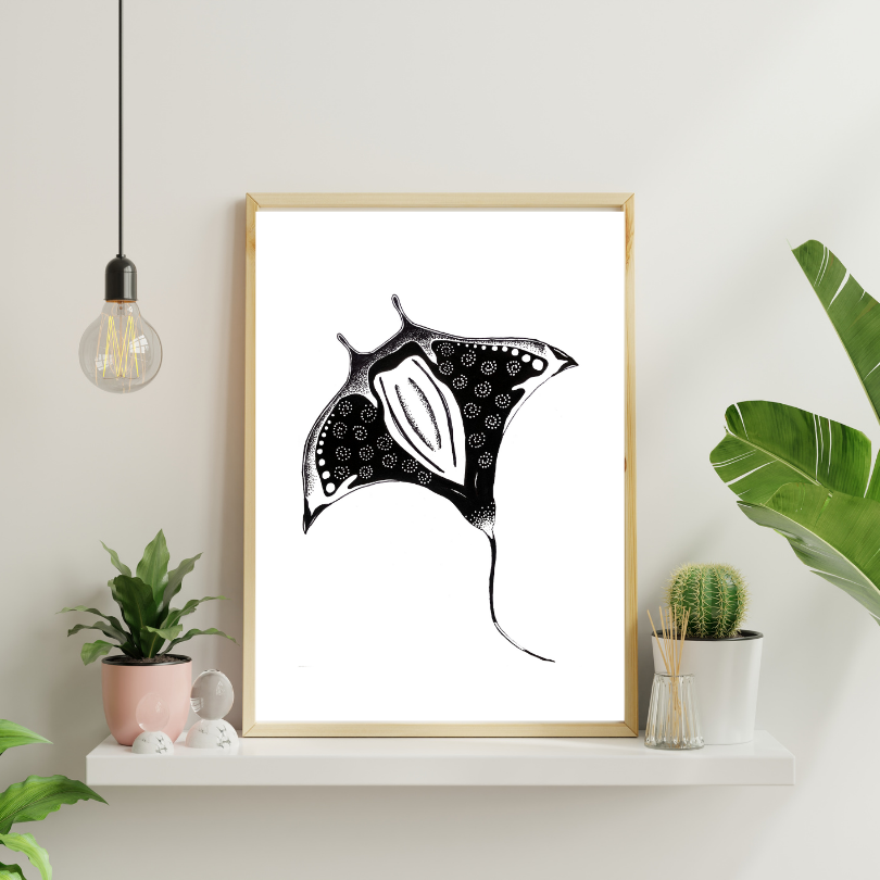 Manta Ray - Fine Art Print