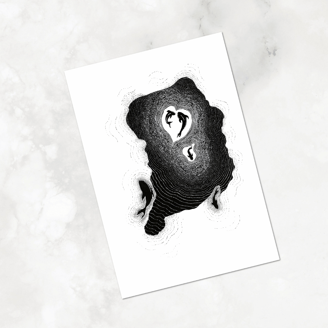 White Minimalist Paper sharky.png