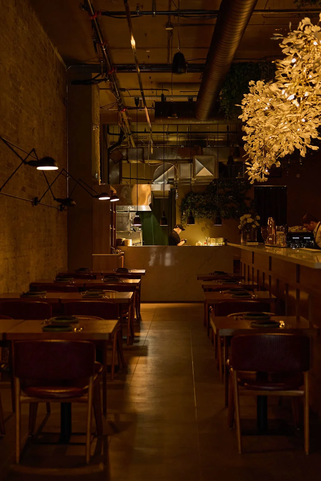 24-01-25_TheLostLand_TasteToronto_3L8A0906_WEB.jpg