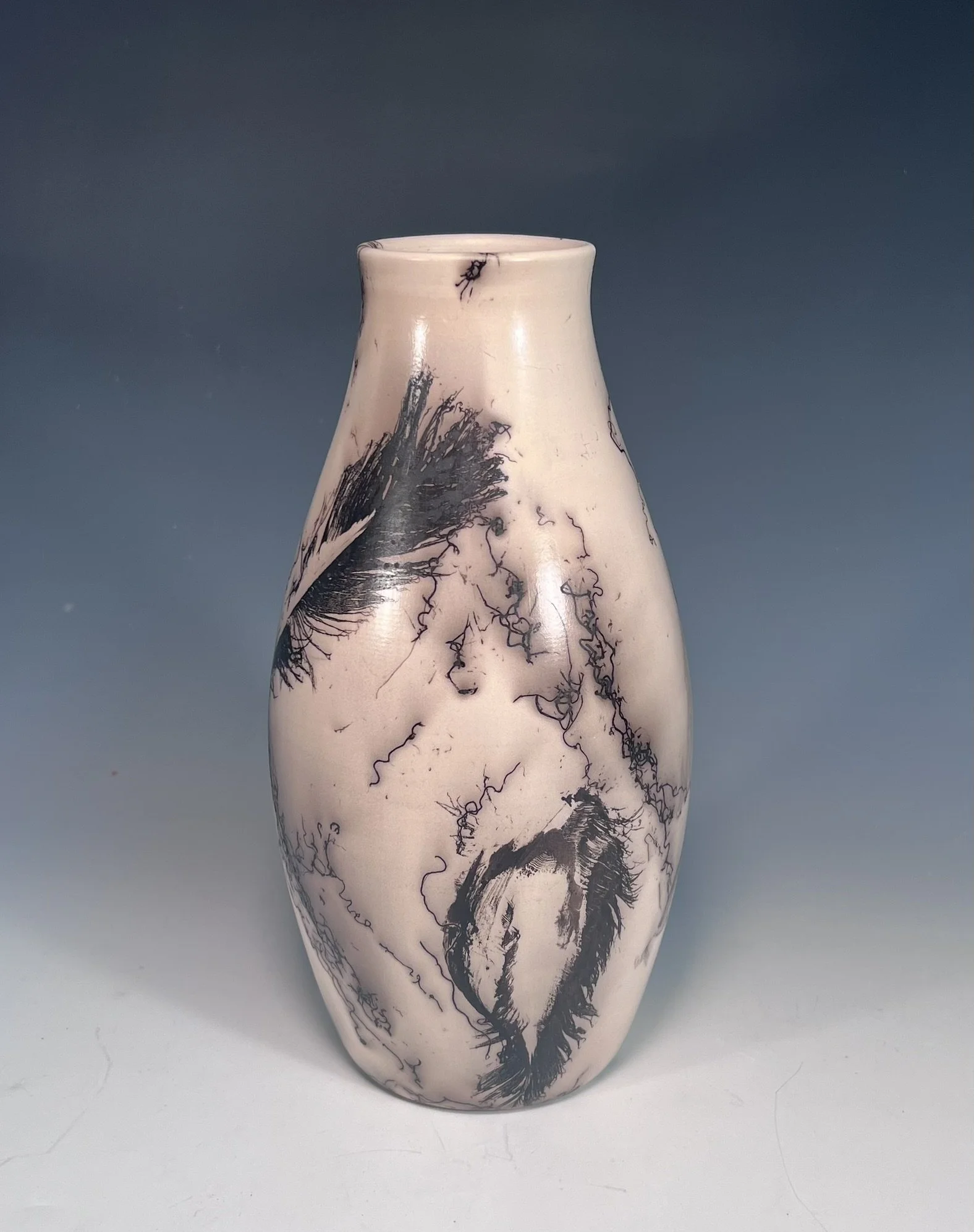 Raku Horsehair with Feathers
