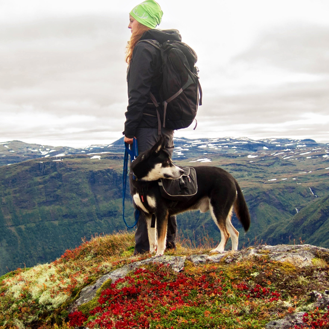 A woman with a backpack and a green headscarf standing on a mossy rock ledge with a Siberian Husky in a mountainous landscape.