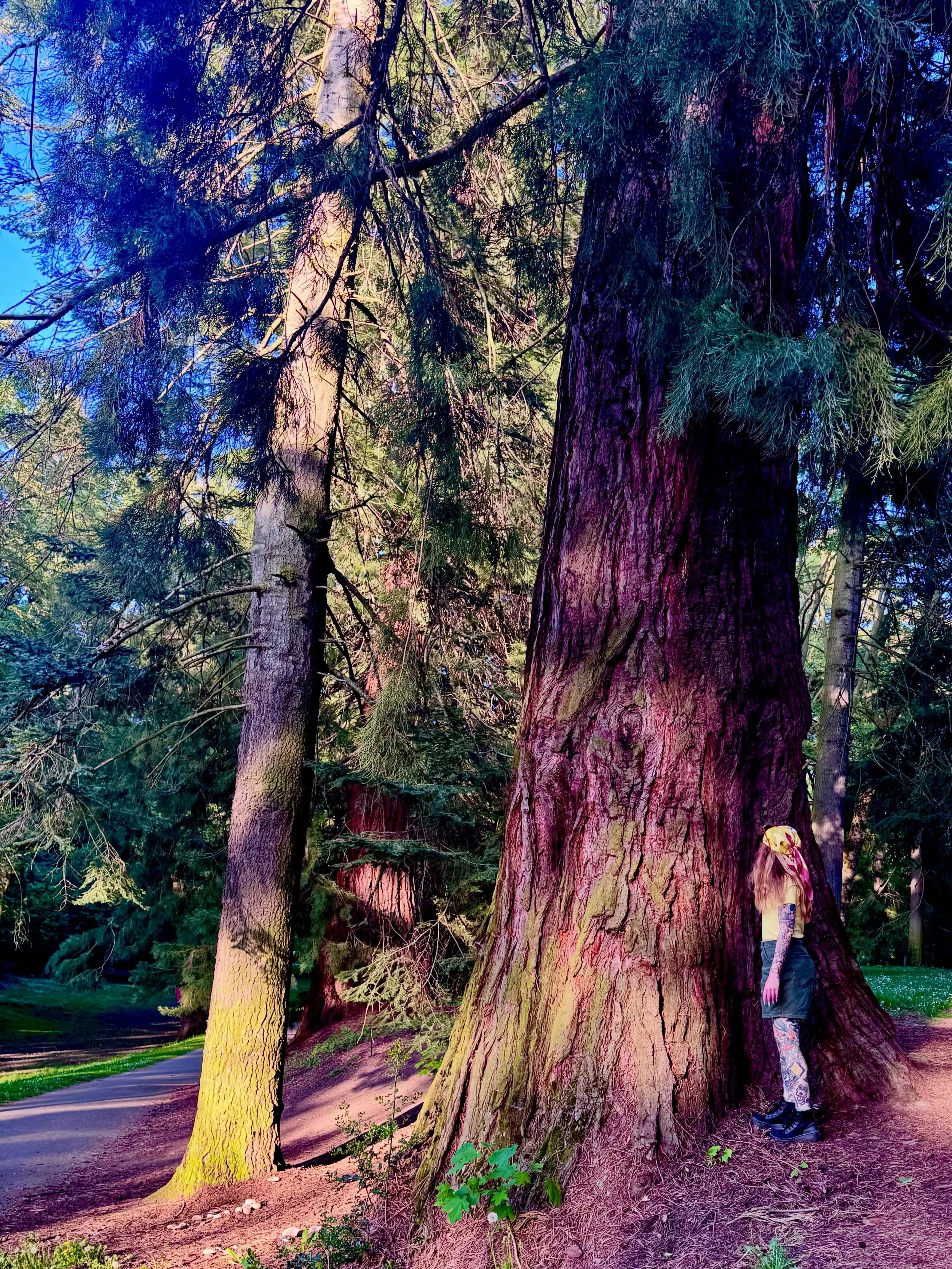 May experience
&bull;
&bull;
&bull;
&bull;
Not sure how May was only a week long, but here&rsquo;s some things I saw. Went to PDX to see my sister &amp; do a dear friend&rsquo;s hair. Of course I have no photo evidence because we were doing things. I
