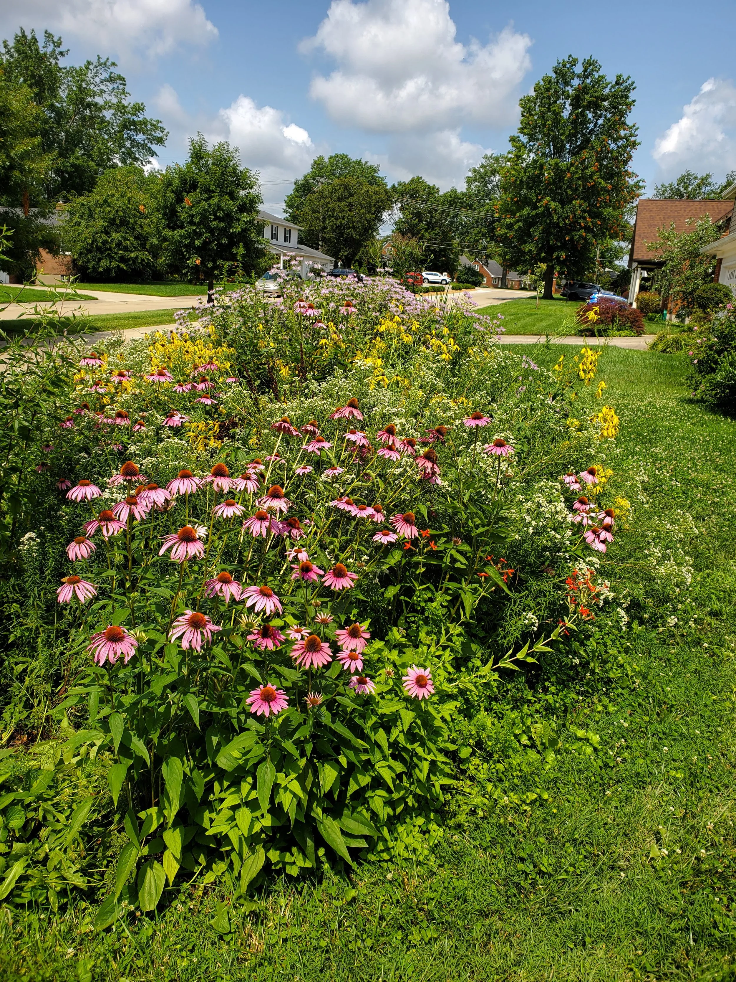2 years after pollinator garden installation