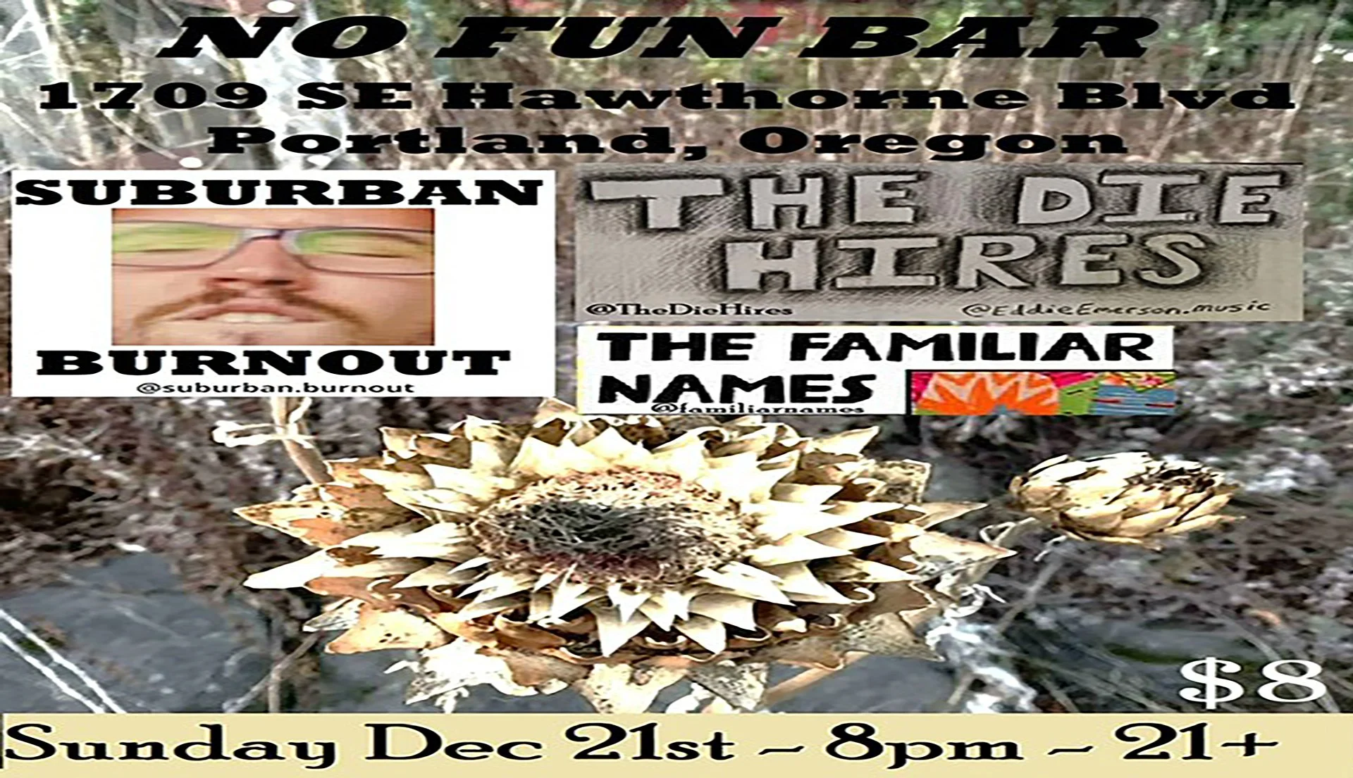 The Die Hires • The Familiar Names • Suburban Burnout