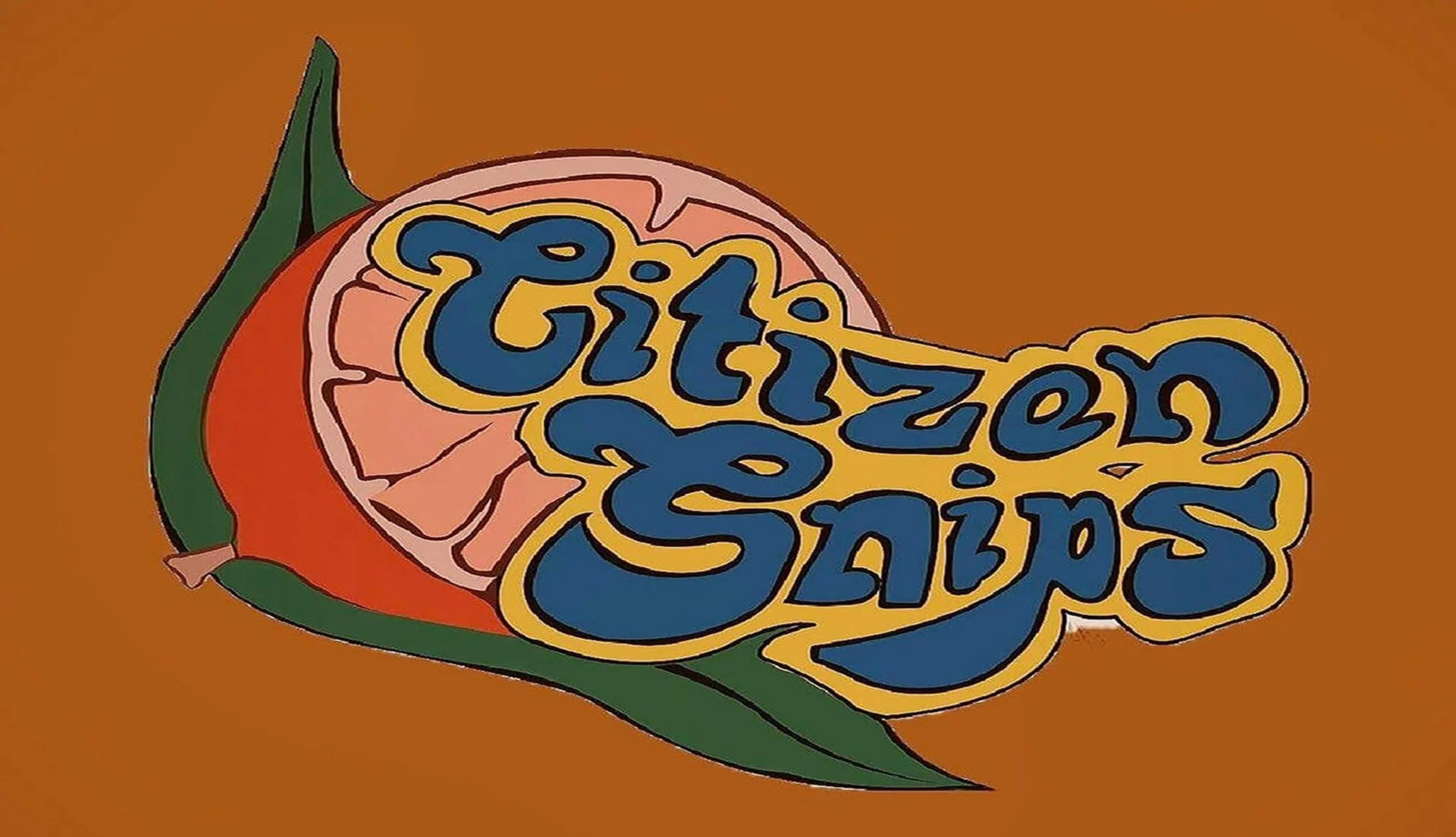 Citizen Snips • The Apricots • TBA