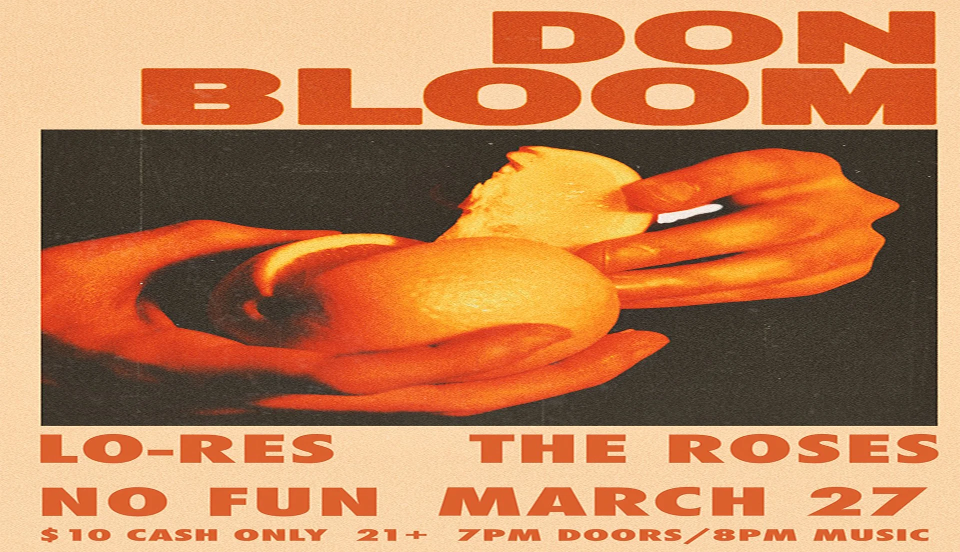 Don Bloom • Lo-Res • The Roses