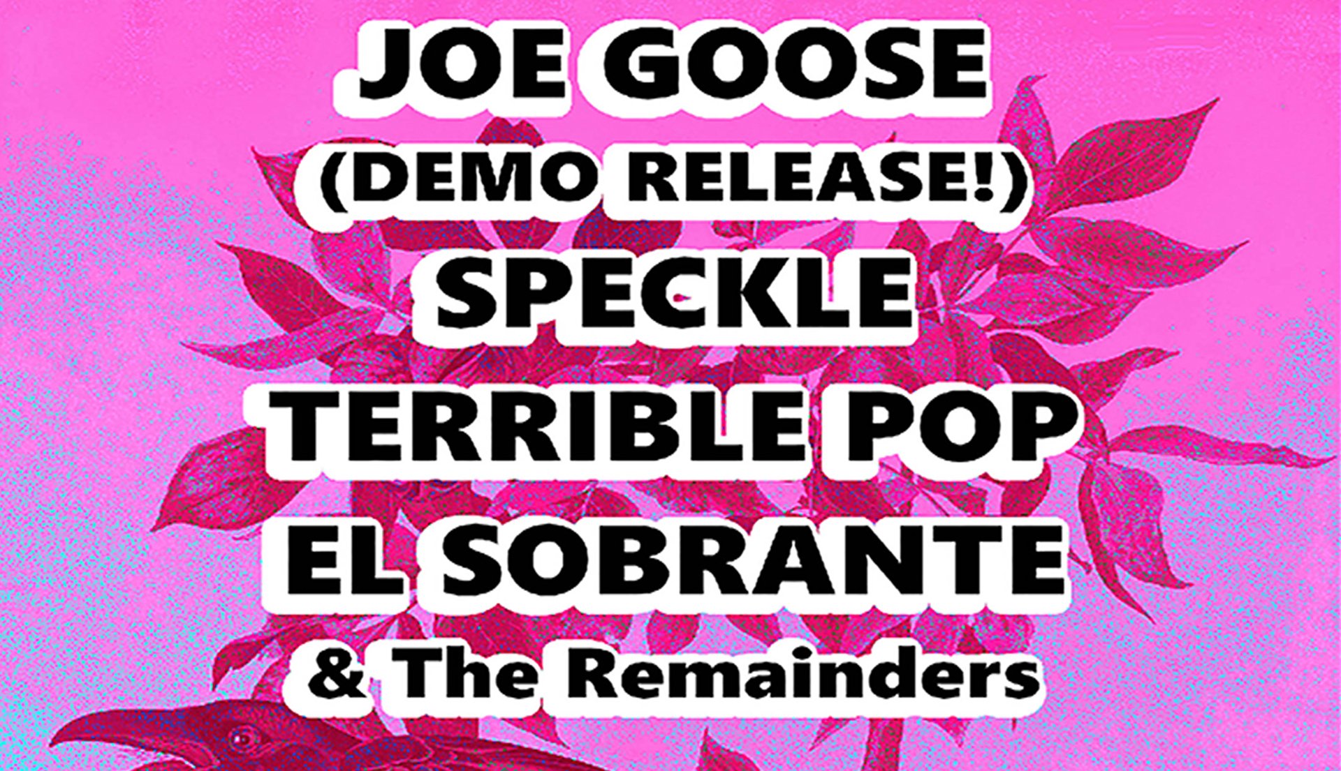 Joe Goose • Speckle • Terrible Pop • El Sobrante &amp; the Remainders