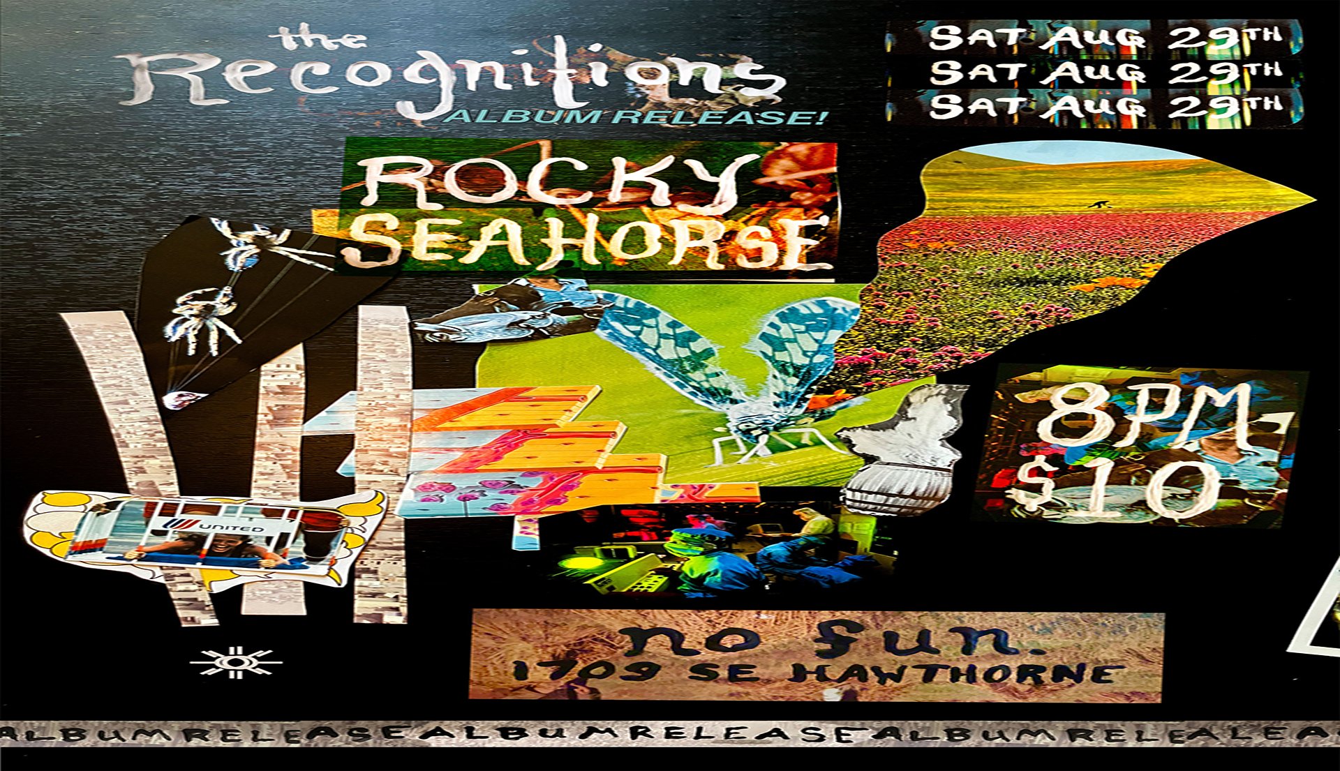 Rocky Seahorse • The Recognitions