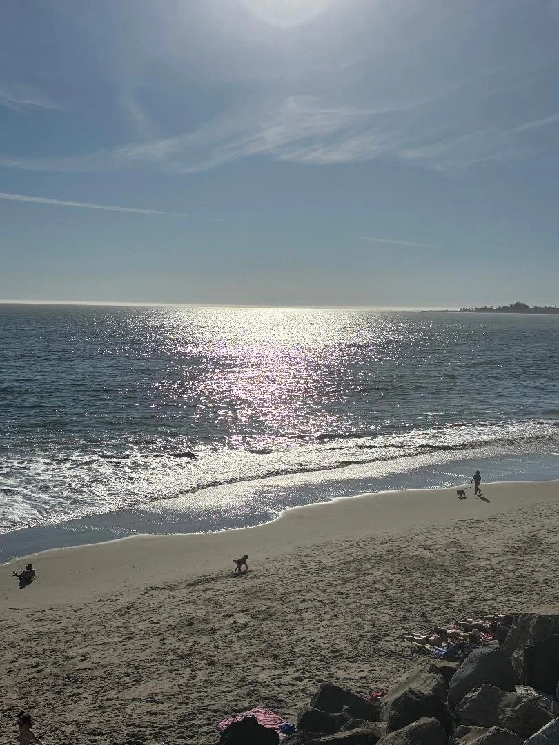 The beautiful beach in Santa Cruz.