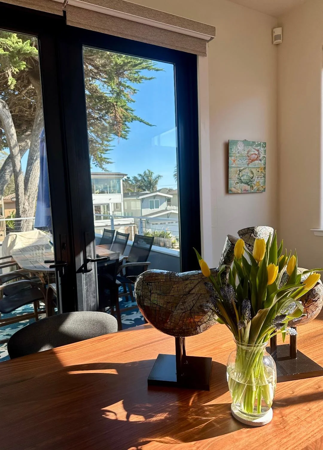 View from the dining table.