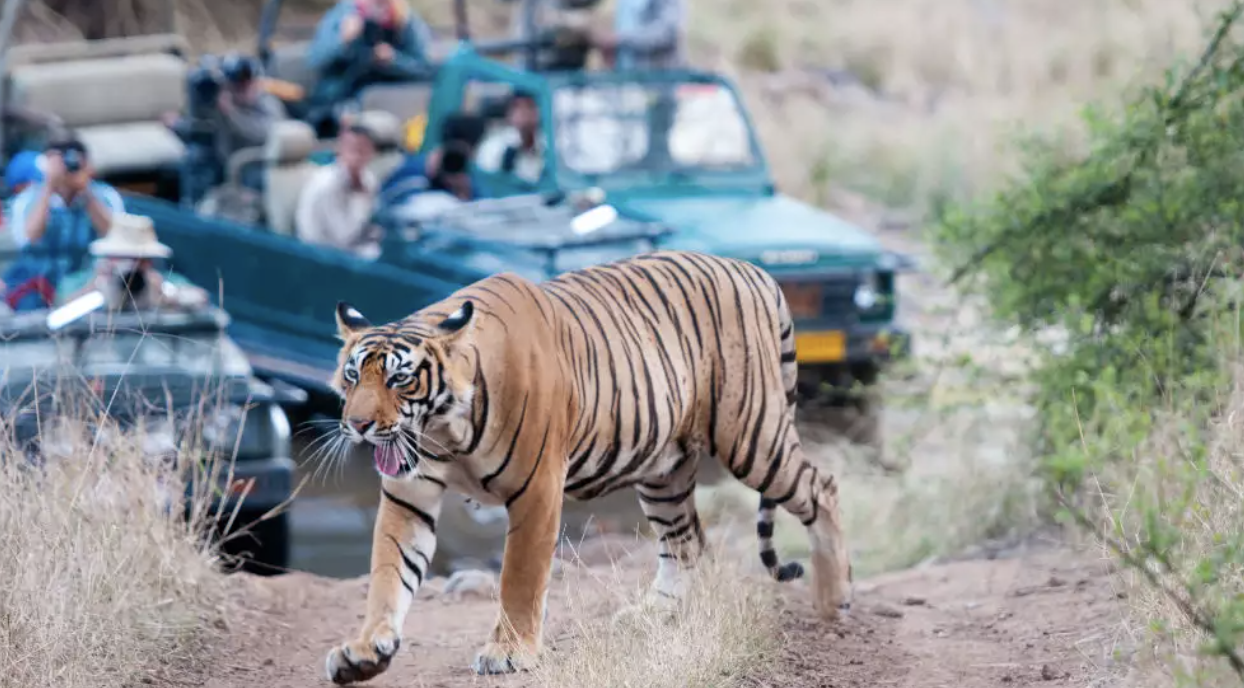 Screen Shot 2024-02-15 at 4.21.17 PM.png