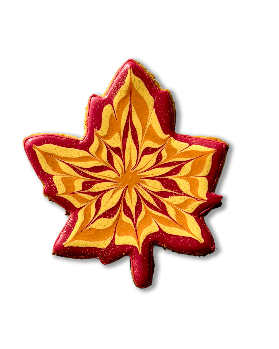 Autumn Maple Leaf