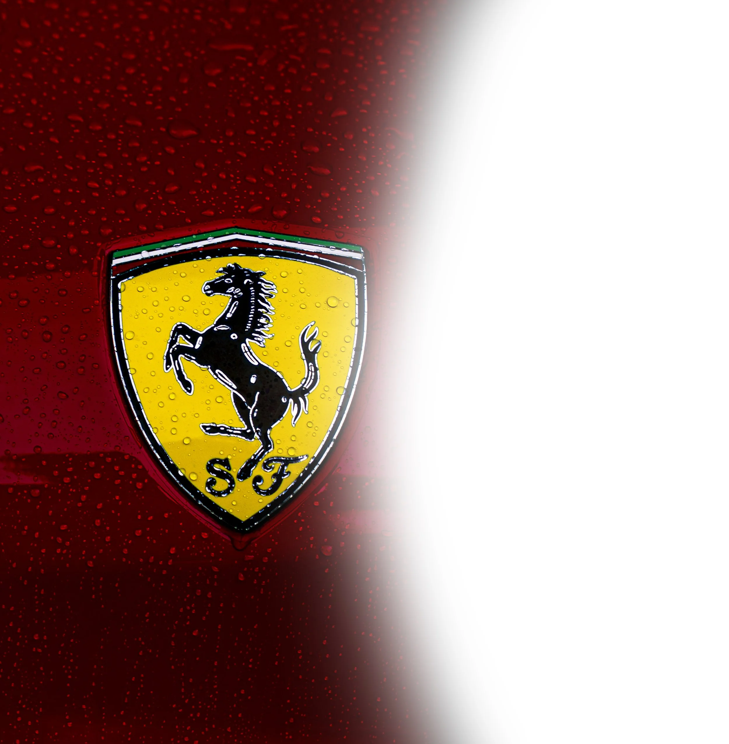 Close-up of a red Ferrari logo on a car, with water droplets on the surface.