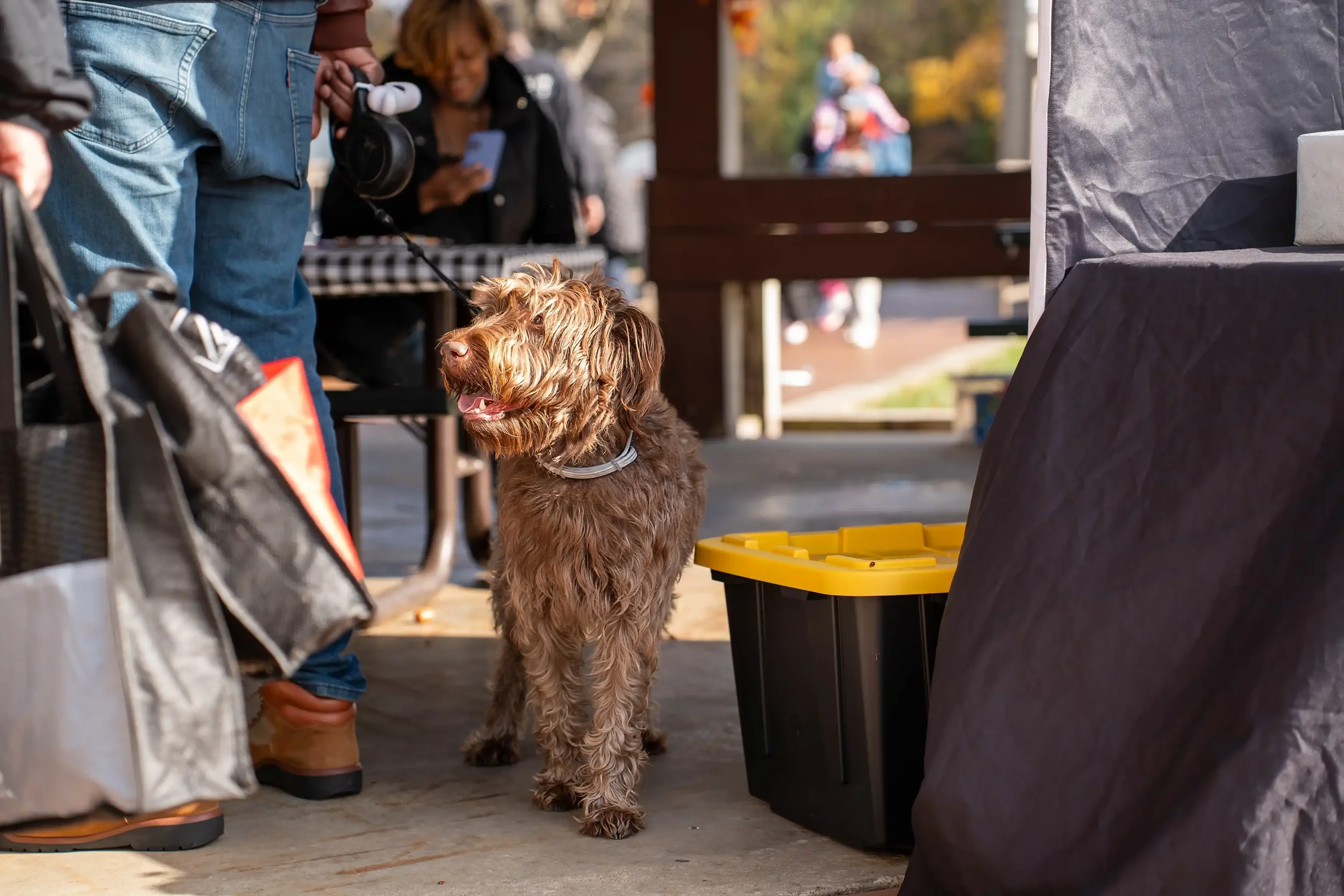 DK Law Group Fall Festival 2025_65.webp