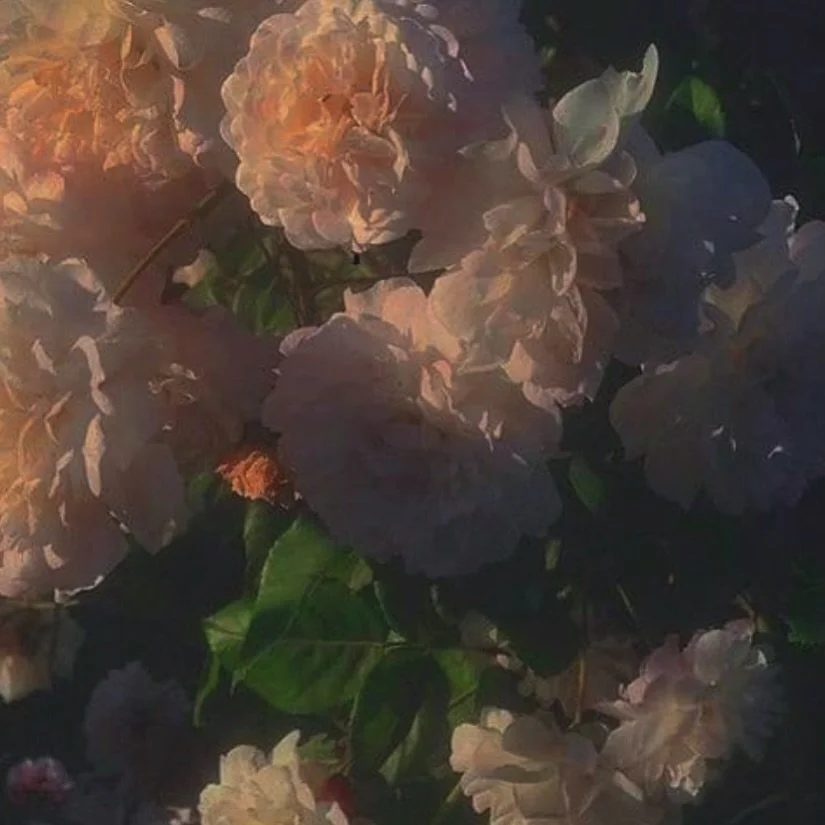 Starting a flower study for an exciting upcoming project 🎨