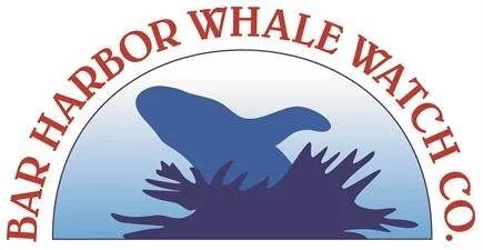 bhWhaleWatch_logo(1).jpeg
