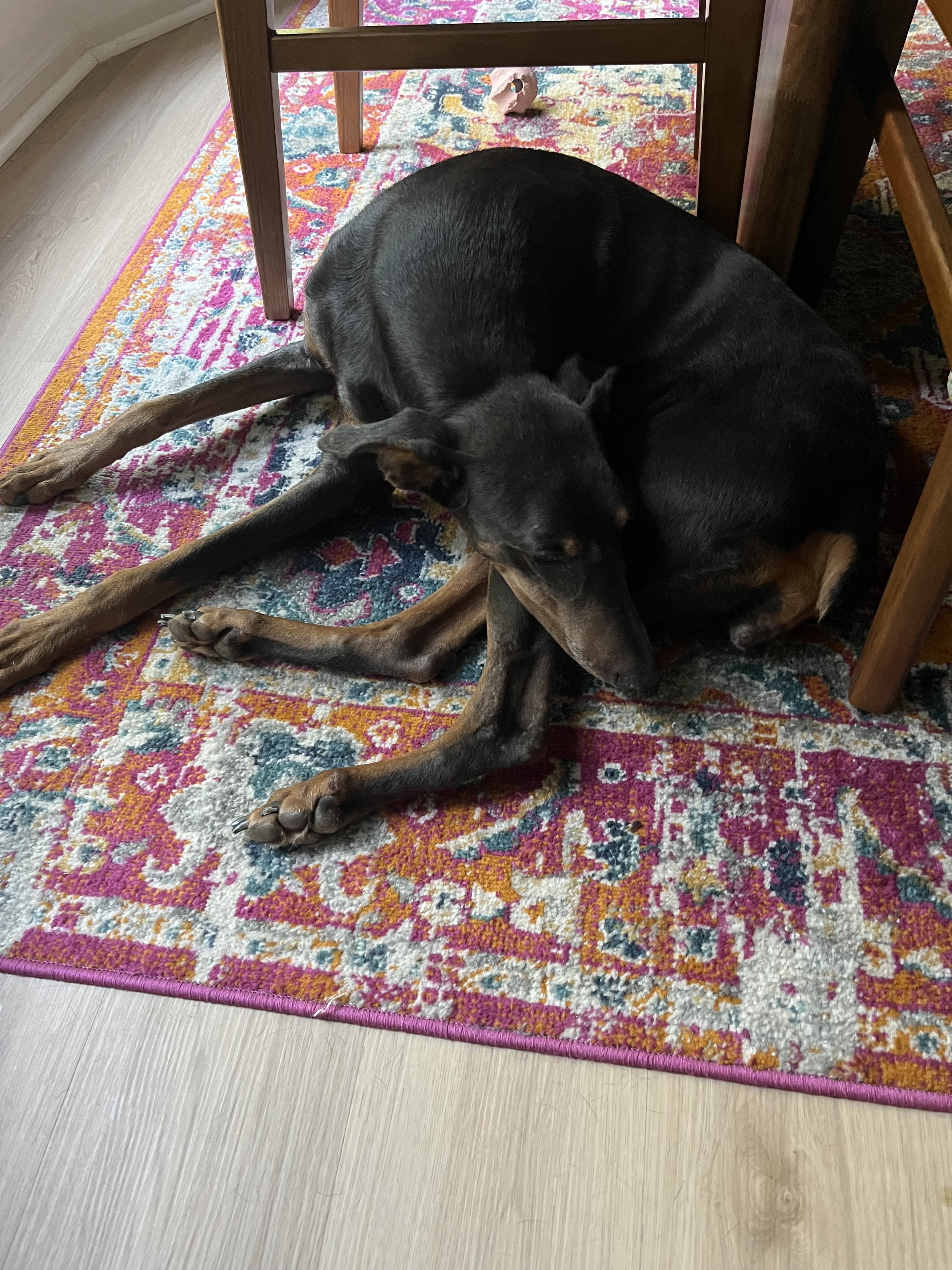 image5.jpeg