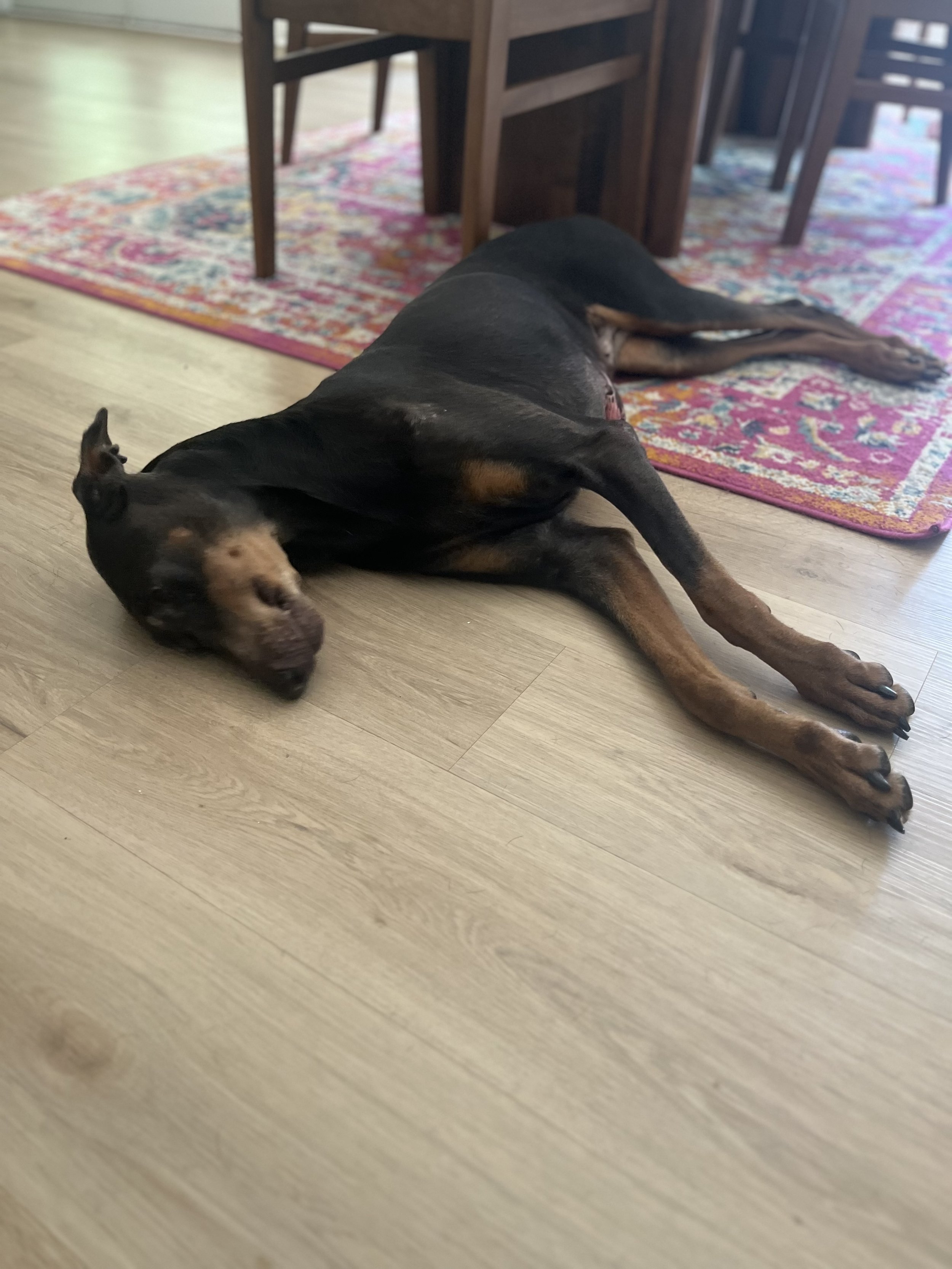 image1.jpeg