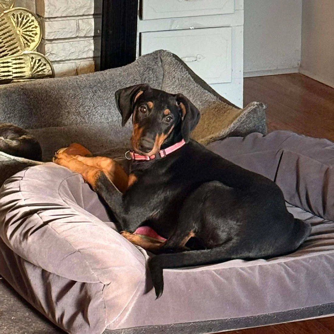 Rizzo - Hospice Care