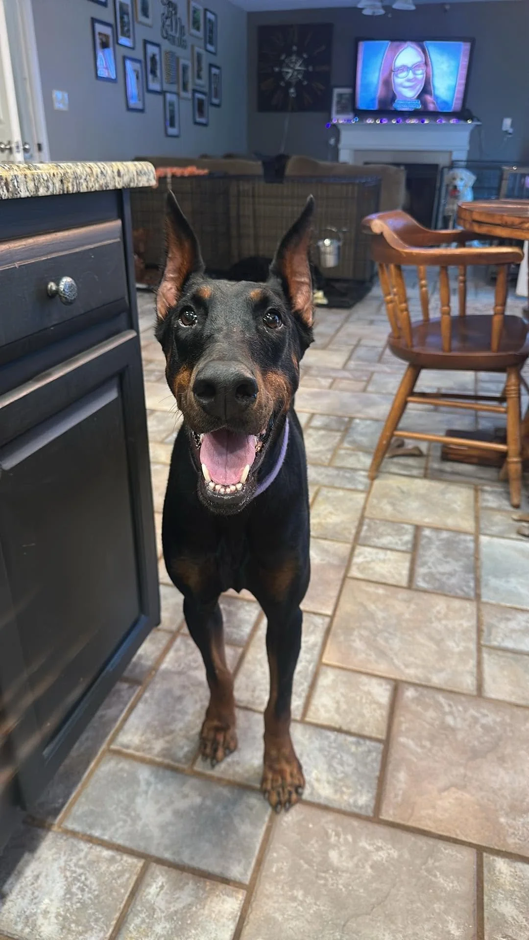 Nova